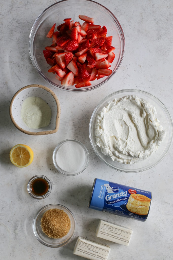 This image shows an overhead look of all the ingredients in this recipe.